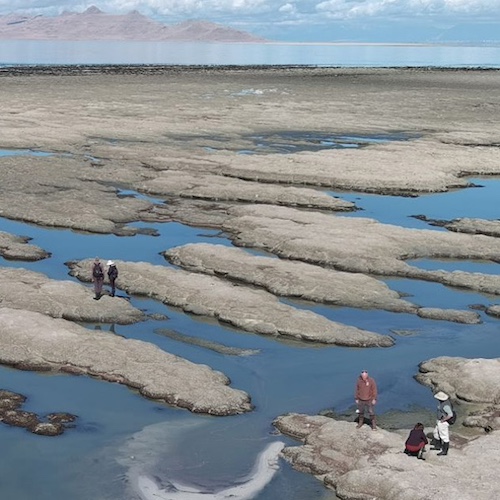 people standing in shallow water on the Great Salt Lake