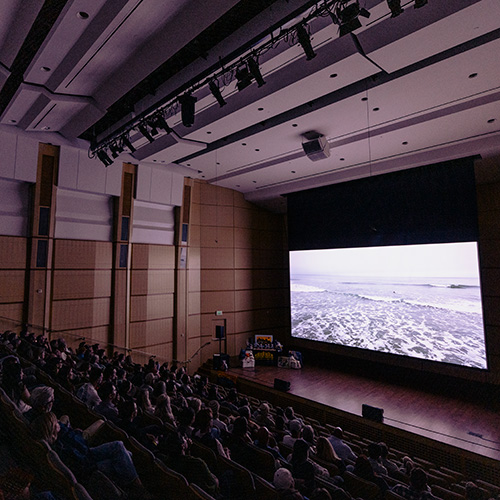 Attendees watching a film at Wasatch Mountain Film Festival