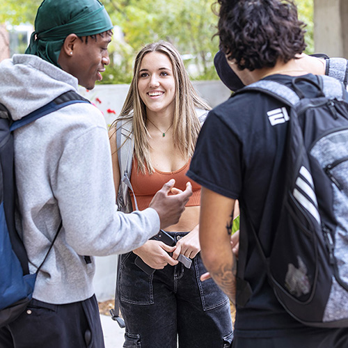 Students at Westminster University