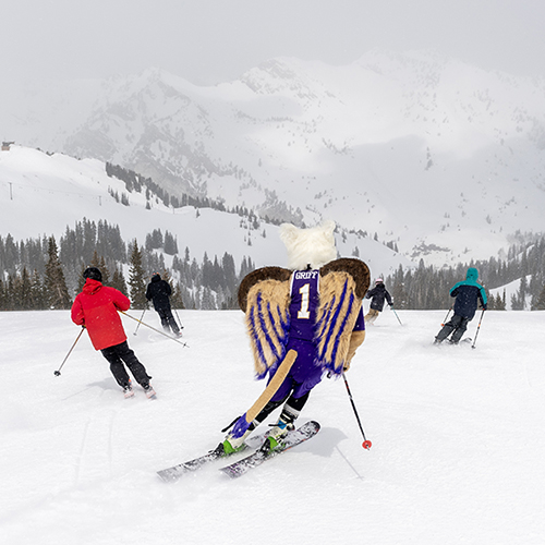 Griff mascot skiing