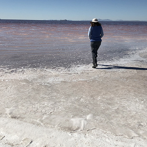 Great Salt Lake Great Salt Lake