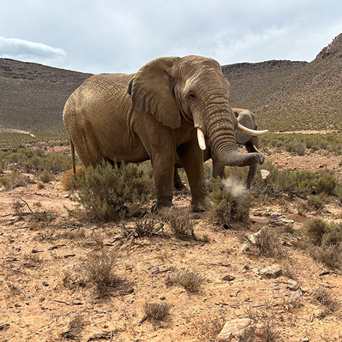 Westminster Alumni Travel participants in Cape Town, South Africa
