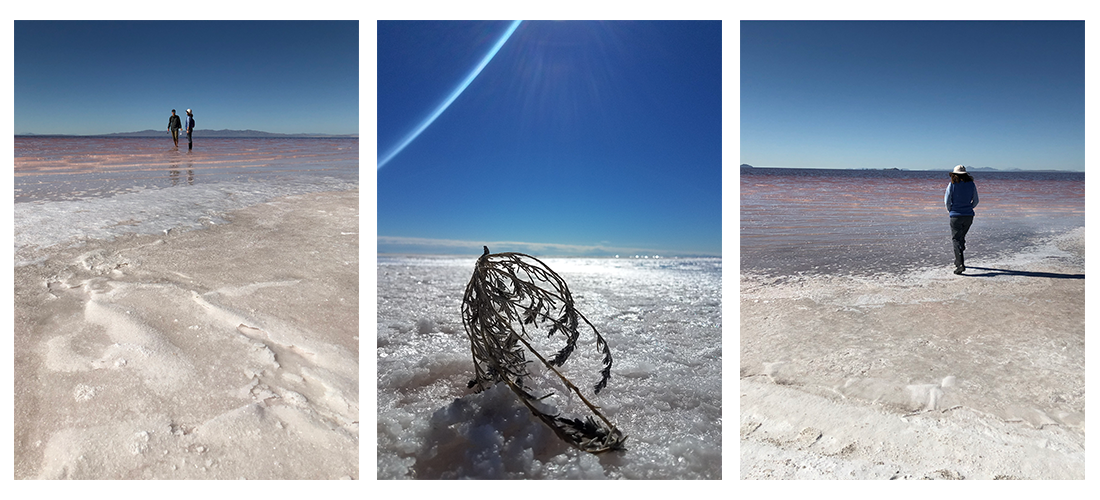 Collage of three photos showing Professor Bonnie Baxter and student collecting salt samples in the Great Salt Lake.