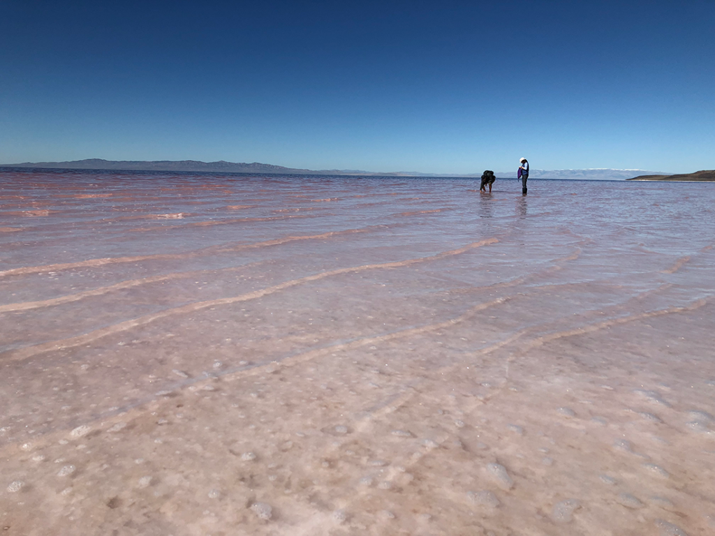 Professor Bonnie Baxter and student collecting samples in the Great Salt Lake.