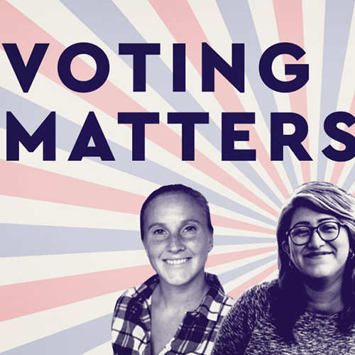 why voting matters poster