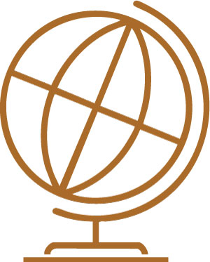 globe icon